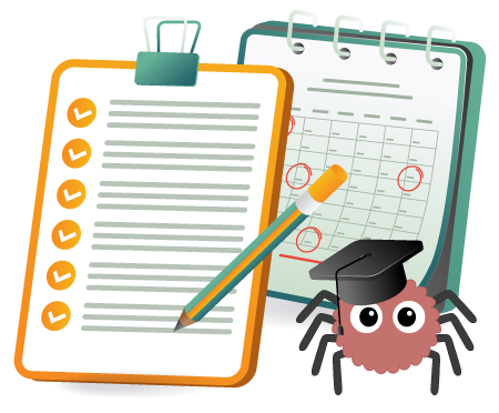 TisstonWeb accompagnement refonte site Web WordPress